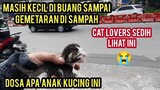 Astagfirullah Bayi Kucing Di Buang Di Sampah Kehausan Sampai Gemeteran Kehausan Mencari Susu..!