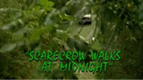 Goosebumps: Season 2, Episode 14 "Scarecrow Walks at Midnight"