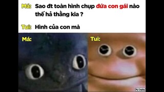 Ảnh Chế Hài Hước #318 - Ủa rồi mắc mớ zì zậy?| Gầy Mobile