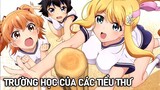 Tóm Tắt Anime Hay: Main Chuyển Trường Hưởng Dàn Harem Khủng Phần 3 | Review Anime