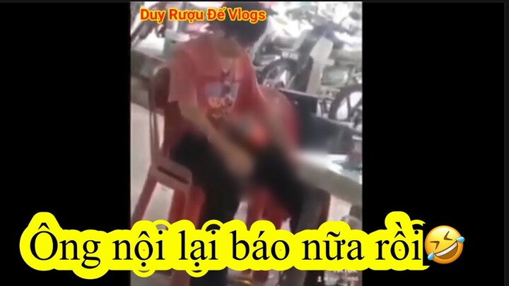 Ông nội lại báo rồi🤣🤣🤣