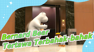 Seri Bernard Bear | Maaf, Aku Tak Bisa Berhenti Tertawa Terbahak-bahak