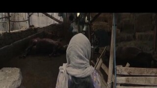 Shahmaran EP 6 [Sub Việt]