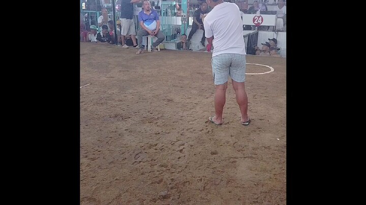 Dos senioretos 2nd fight win champion
