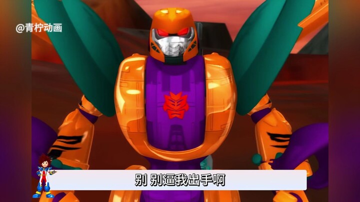 憨厚老实 猛虎王VS老谋深算 狂野猩！