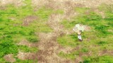 Ayakashi Triangle Episode 09 Eng Sub