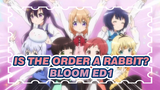 Is the order a rabbit?|BLOOM（Season 3）ED1
