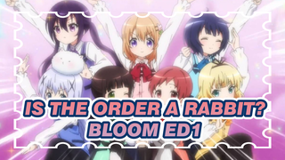 Is the order a rabbit?|BLOOM（Season 3）ED1