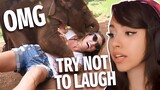 TRY NOT TO LAUGH - FAILS AROUND THE GLOBE !!! REACTION