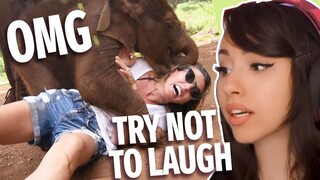 TRY NOT TO LAUGH - FAILS AROUND THE GLOBE !!! REACTION