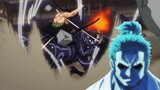 Hyogoro says to Kawamatsu that Zoro resembles Sword God Ryuma | One Piece ワンピース Episode 1046