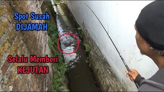 Selalu Ada Kejutan Ketika Mancing Ikan Di Selokan Kecil