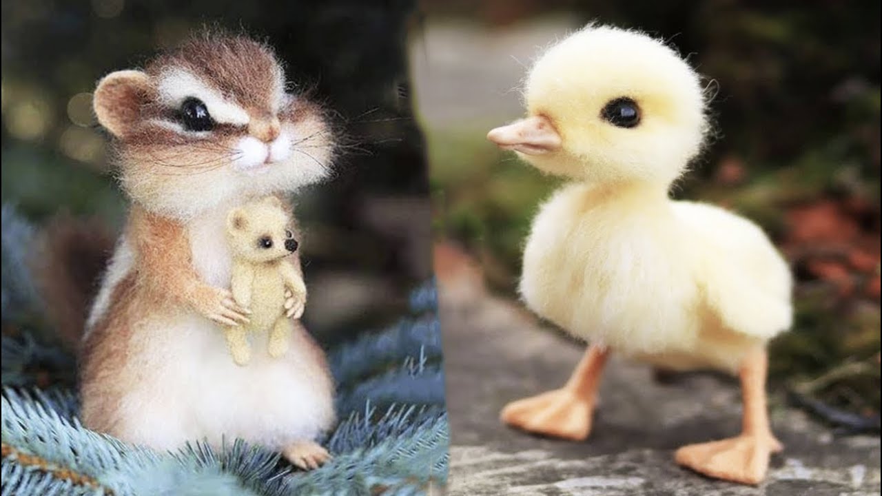 Explore Our Gallery of Cutest Animals From Around the World
