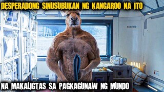 Iniwan Ng Mga Tao Ang Kangaroo Na Ito Sa Buwan