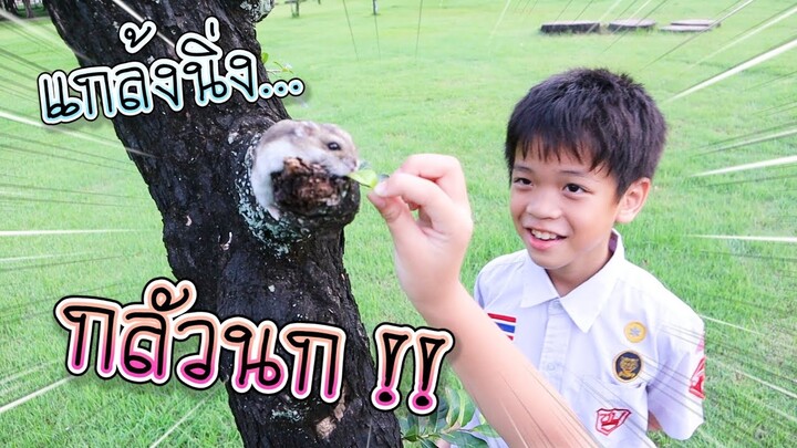 พาหนูแฮมสเตอร์หนี นก !! พาซูซูไปเดินเล่นสวนพุทธ เจอนกติ๊วดิ๊ด - DING DONG DAD