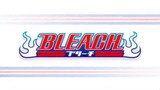 Bleach (Eng Dub) Episode 321