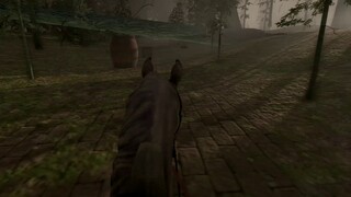 Female Titan Chase