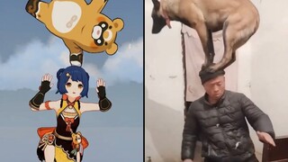 【原神】何 止 生 草，简 直 有 毒 ！ ！ ！