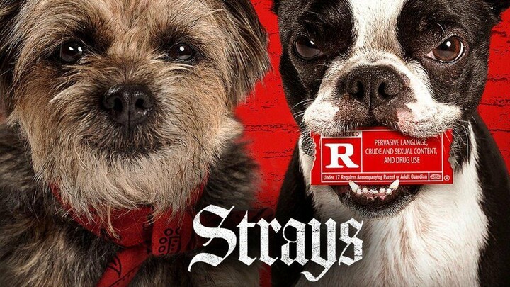 Strays - Official Trailer 2 Watch Full Movie : Link in description