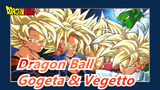 Dragon Ball | Ada Jenis yang Tak Terkalahkan Bernama Gogeta | Ada yang Terkuat yang Bernama Vegetto