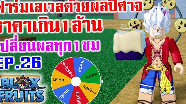 สุ่มผลฟาร์ม Lvทุก 1 ชั่วโมง Ep26 ผลเกินล้าน Roblox Blox Fruits