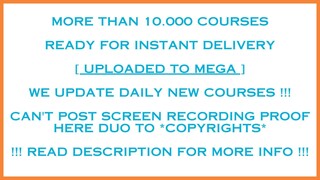 Amie Tollefsrud - Online Course Academy + Passive Income Academy Torrent Free