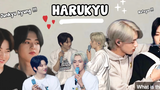 HaruKyu 💕 ช่วงเวลาฮาๆ