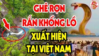 Giải Mã Bí Ẩn Ly Kỳ Về Dị Tượng Cặp RẮN KHỔNG LỒ Xuất Hiện Tại Long Xuyên - Tiên Tri Điều Gì?