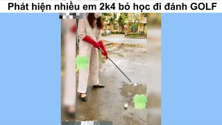 Làm giàu không khó, chỉ cần ở sân Golf #funny #haihuoc