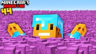 UNLIMITED SHULKER BOXES in Minecraft Hardcore