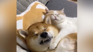 น่าหมั่นเขี้ยวจริงๆเลยยย