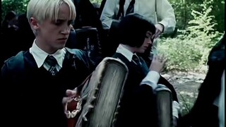 Putri Slytherin Pansy Parkinson salah satu dari 28 keluarga berdarah murni mencintai Draco selama tu