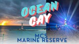 Ocean Cay - MSC Marine Reserve - The tour you wish you watched!