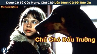 [Review Phim] Được Cô Bé Cứu Mạng, Chú Chó Đấu Trường Liền Dành Cả Đời Báo Ơn