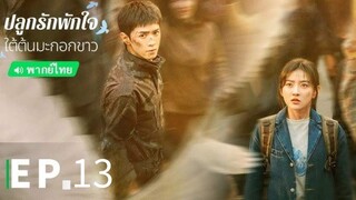 ตอนที่ 13