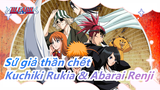[Sứ giả thần chết AMV]Những chú chó hoang và ngôi sao -Kuchiki Rukia & Abarai Renji