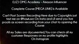 (LIZ) OMG Academy Course Amazon Influencer download
