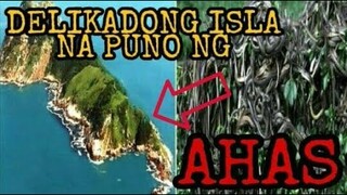 ISLA NA PUNO NG MGA AHAS - ISLANG MARAMING AHAS - SNAKE ISLAND