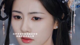 瑱宇：一条只记得复活主人的宠物蛇