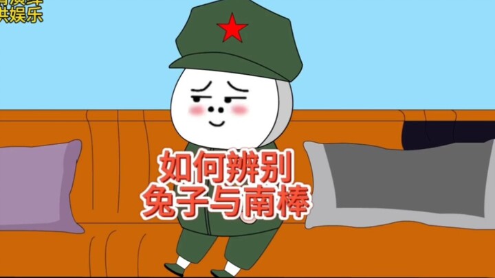 地球村！假如棒子冒充兔子，该如何辨别！