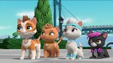 Cat Pack: A PAW Patrol Exclusive Event (2022) Link in Description