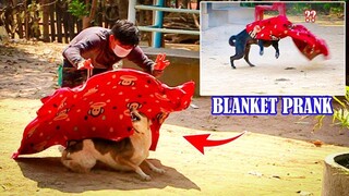 Best clip dog sleep video prank 2022