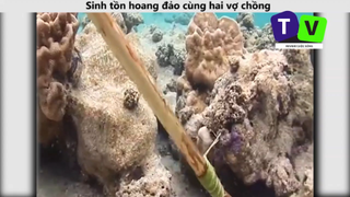 Sinh tồn hoang đảo cùng hai vợ chồng p4