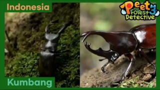 Romeo Si Kumbang Badak dan Juliet Si Kumbang Rusa - Peet The Forest Detective 3 (Bahasa Indonesia)