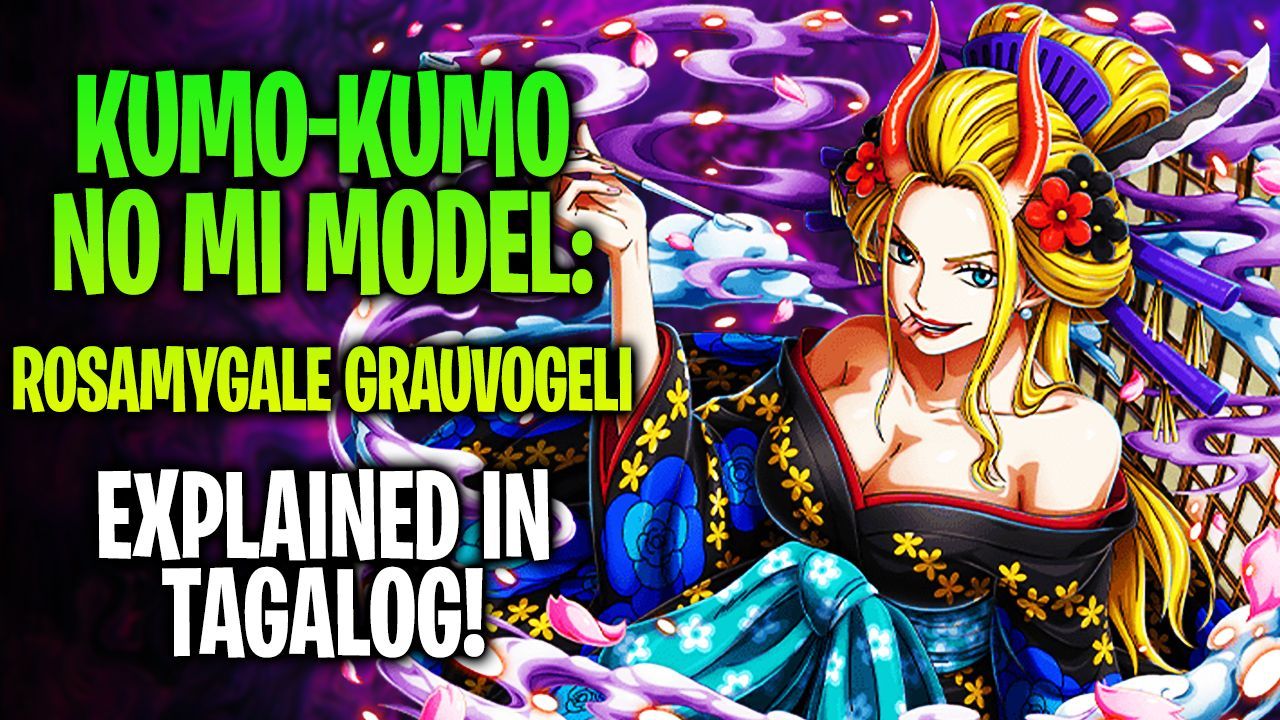 Kumo Kumo no Mi, Model: Rosamygale Grauvogeli, One Piece Wiki