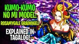 KUMO-KUMO NO MI MODEL: ROSAMYGALE GRAUVOGELI Explained In Tagalog!