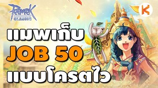 แมพเก็บ Job 50 แบบโคตรเร็ว ไวกว่า Sandman 3 เท่า ของน้อย สายฟรีก็ไปได้ | Ro Classic GGT