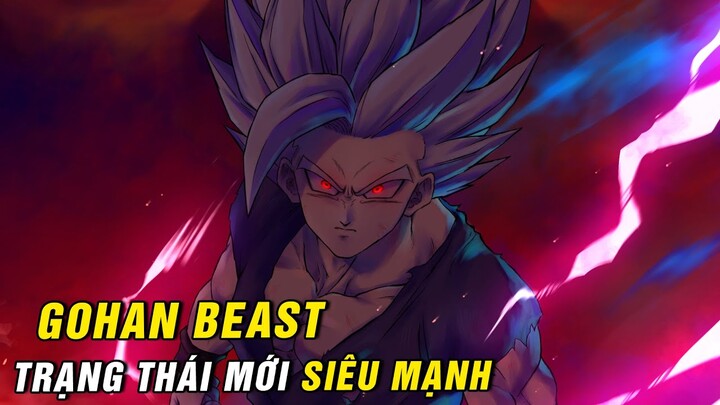 7 trạng thái tiến hoá sức mạnh của Son Gohan - Gohan Beast trạng thái mới trong Dragon Ball Super