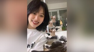 Thử filter trên instagram với em bé mèo 🤣🤣 foryou catsoftiktok fyp cutecat catlover cute meocute