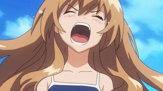 Do You Still Remember "Palmtop Tiger"? ("Toradora!")